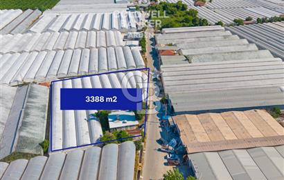 DEMRE ALAKENT ORTASALIMDA SATILIK 3388 M2 SERA VE EVi CB ARDEN