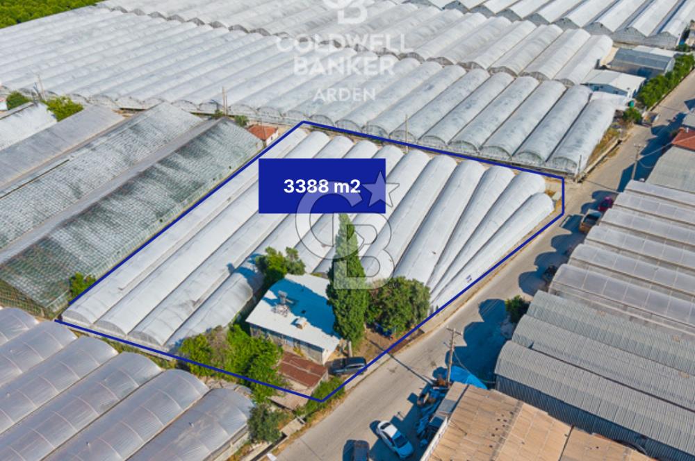 DEMRE ALAKENT ORTASALIMDA SATILIK 3388 M2 SERA VE EVi CB ARDEN