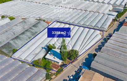 DEMRE ALAKENT ORTASALIMDA SATILIK 3388 M2 SERA VE EVi CB ARDEN