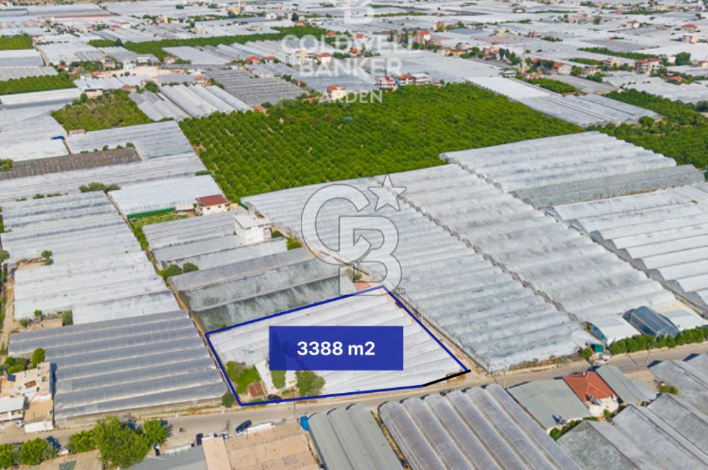 DEMRE ALAKENT ORTASALIMDA SATILIK 3388 M2 SERA VE EVi CB ARDEN
