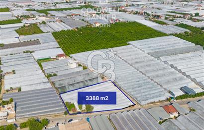 DEMRE ALAKENT ORTASALIMDA SATILIK 3388 M2 SERA VE EVi CB ARDEN