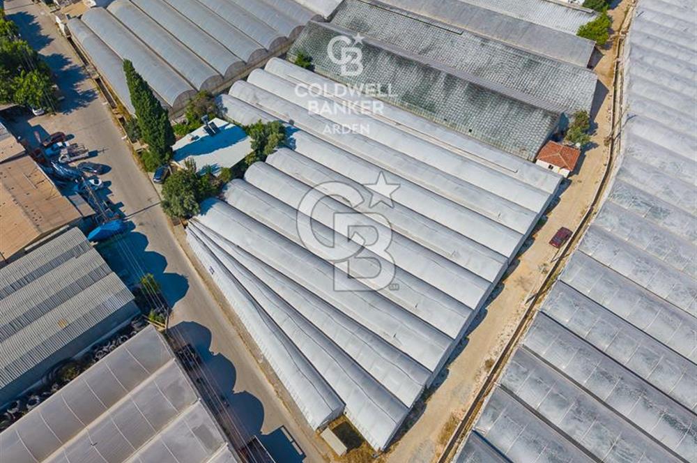 DEMRE ALAKENT ORTASALIMDA SATILIK 3388 M2 SERA VE EVi CB ARDEN