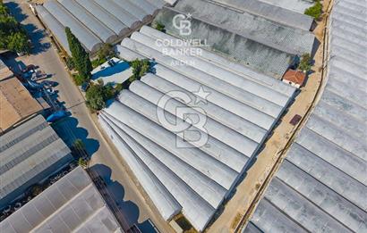 DEMRE ALAKENT ORTASALIMDA SATILIK 3388 M2 SERA VE EVi CB ARDEN