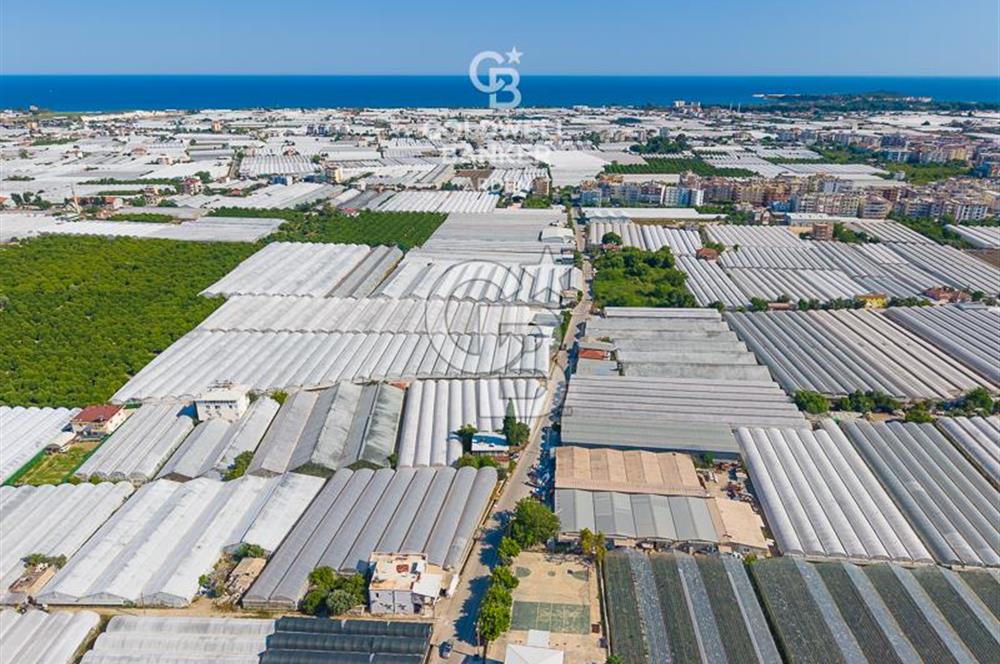 DEMRE ALAKENT ORTASALIMDA SATILIK 3388 M2 SERA VE EVi CB ARDEN