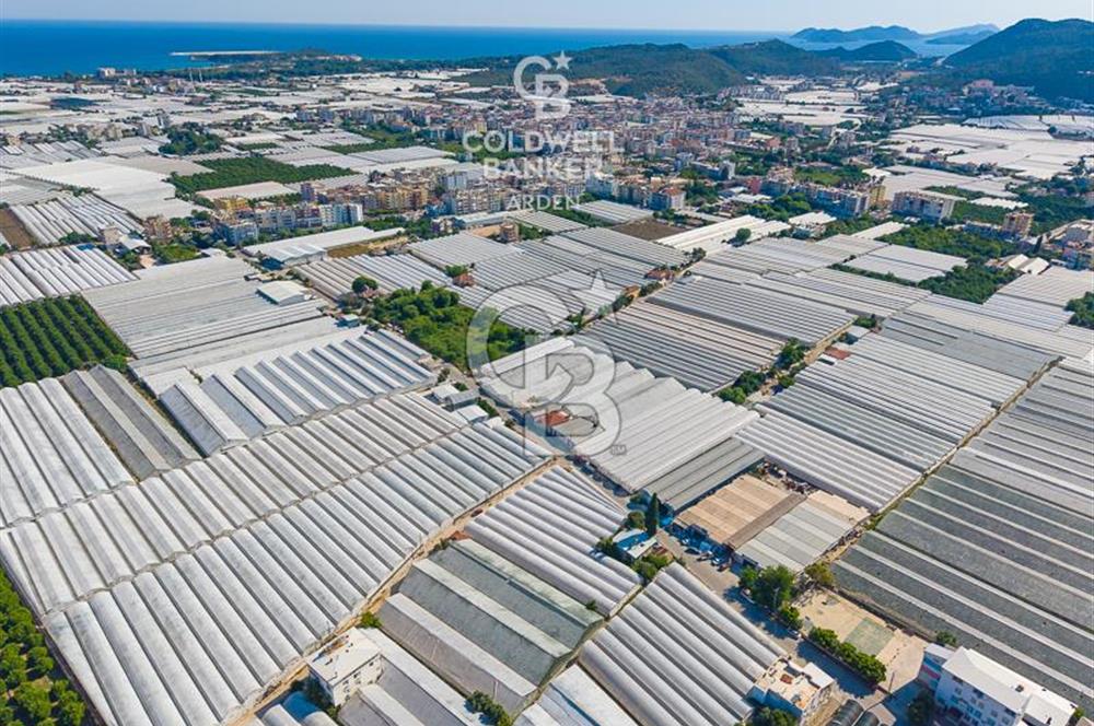 DEMRE ALAKENT ORTASALIMDA SATILIK 3388 M2 SERA VE EVi CB ARDEN