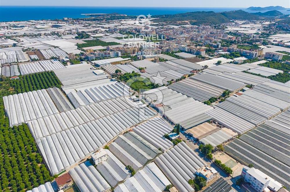 DEMRE ALAKENT ORTASALIMDA SATILIK 3388 M2 SERA VE EVi CB ARDEN