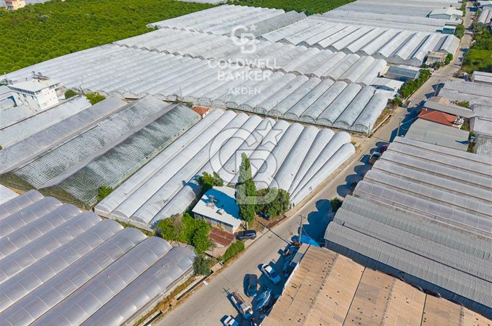 DEMRE ALAKENT ORTASALIMDA SATILIK 3388 M2 SERA VE EVi CB ARDEN