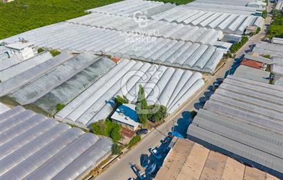 DEMRE ALAKENT ORTASALIMDA SATILIK 3388 M2 SERA VE EVi CB ARDEN