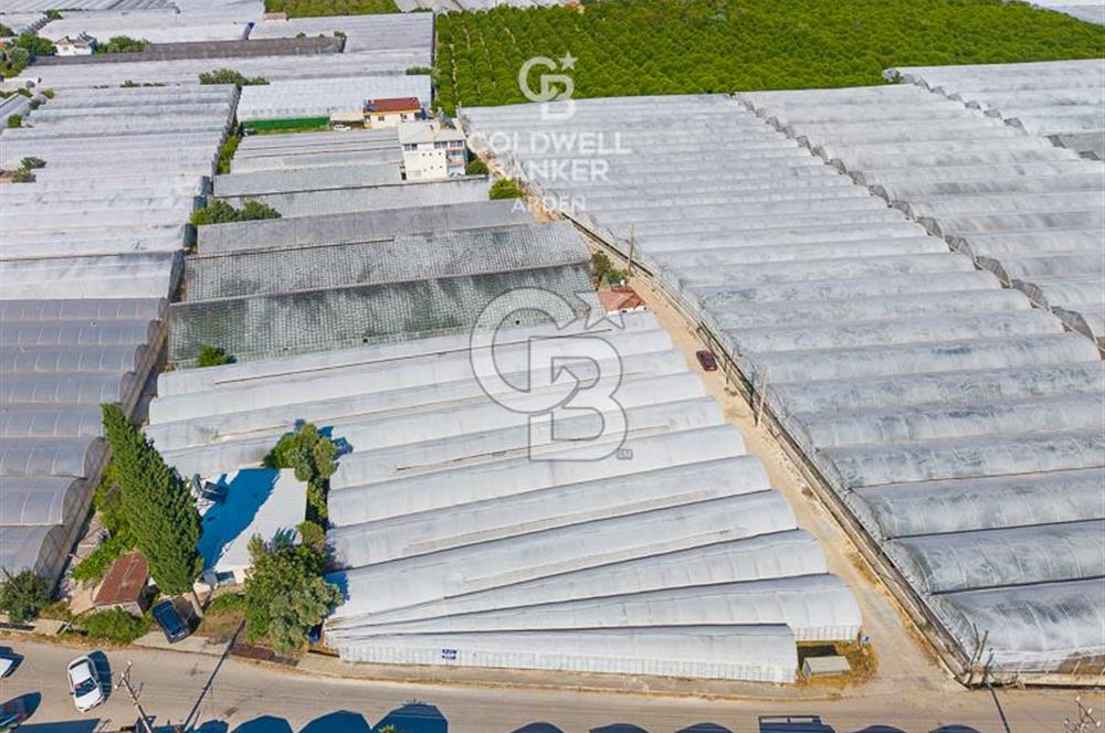 DEMRE ALAKENT ORTASALIMDA SATILIK 3388 M2 SERA VE EVi CB ARDEN