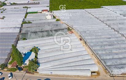 DEMRE ALAKENT ORTASALIMDA SATILIK 3388 M2 SERA VE EVi CB ARDEN