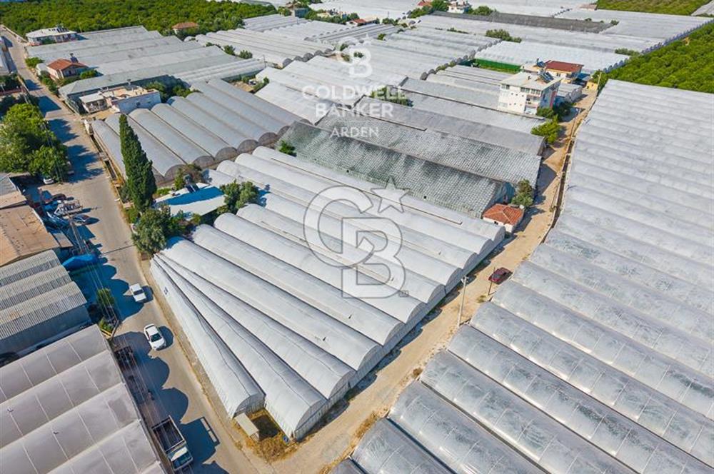 DEMRE ALAKENT ORTASALIMDA SATILIK 3388 M2 SERA VE EVi CB ARDEN