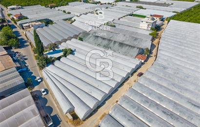 DEMRE ALAKENT ORTASALIMDA SATILIK 3388 M2 SERA VE EVi CB ARDEN