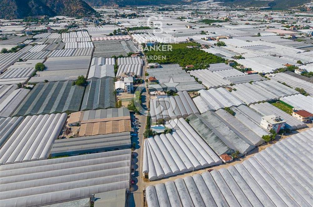 DEMRE ALAKENT ORTASALIMDA SATILIK 3388 M2 SERA VE EVi CB ARDEN