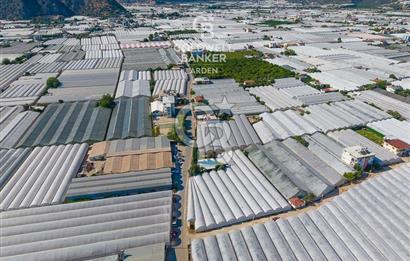 DEMRE ALAKENT ORTASALIMDA SATILIK 3388 M2 SERA VE EVi CB ARDEN