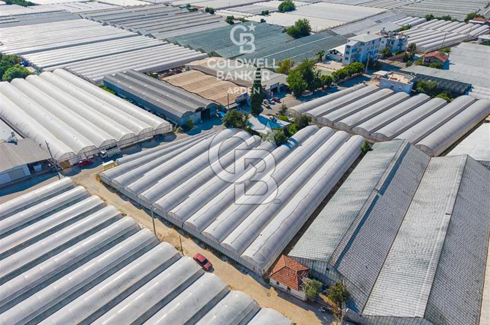 DEMRE ALAKENT ORTASALIMDA SATILIK 3388 M2 SERA VE EVi CB ARDEN