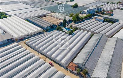 DEMRE ALAKENT ORTASALIMDA SATILIK 3388 M2 SERA VE EVi CB ARDEN