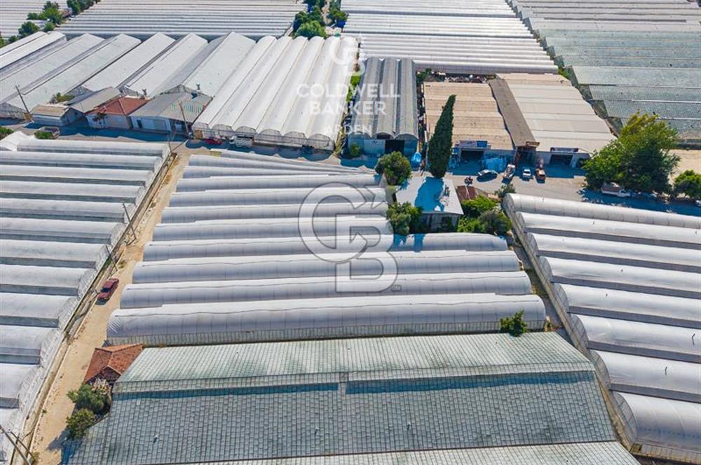 DEMRE ALAKENT ORTASALIMDA SATILIK 3388 M2 SERA VE EVi CB ARDEN