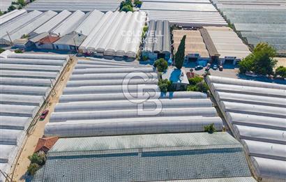 DEMRE ALAKENT ORTASALIMDA SATILIK 3388 M2 SERA VE EVi CB ARDEN