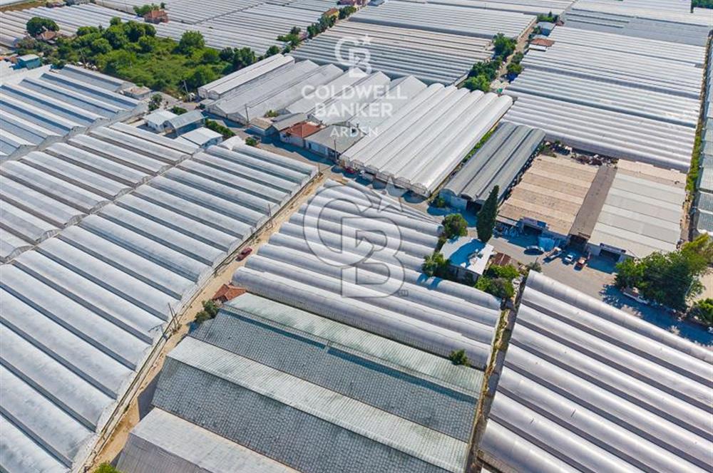 DEMRE ALAKENT ORTASALIMDA SATILIK 3388 M2 SERA VE EVi CB ARDEN