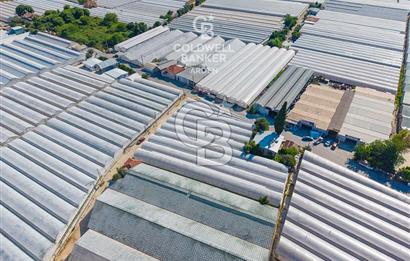DEMRE ALAKENT ORTASALIMDA SATILIK 3388 M2 SERA VE EVi CB ARDEN