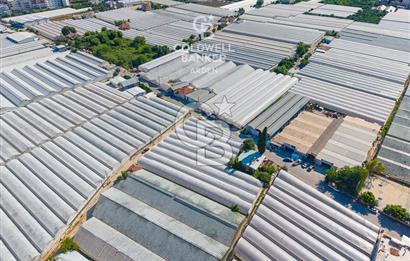 DEMRE ALAKENT ORTASALIMDA SATILIK 3388 M2 SERA VE EVi CB ARDEN