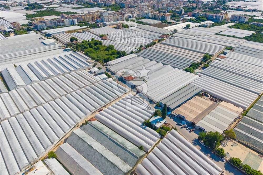 DEMRE ALAKENT ORTASALIMDA SATILIK 3388 M2 SERA VE EVi CB ARDEN
