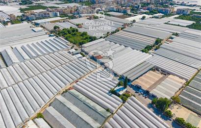 DEMRE ALAKENT ORTASALIMDA SATILIK 3388 M2 SERA VE EVi CB ARDEN