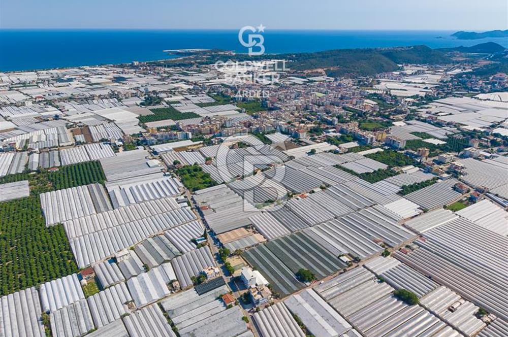 DEMRE ALAKENT ORTASALIMDA SATILIK 3388 M2 SERA VE EVi CB ARDEN