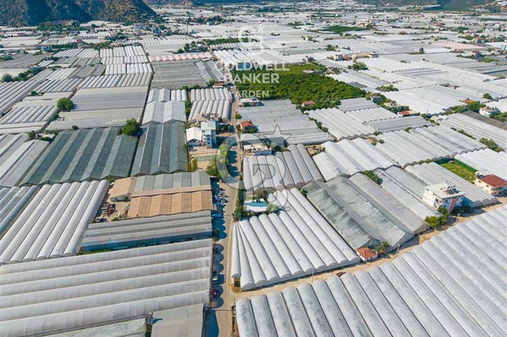 DEMRE ALAKENT ORTASALIMDA SATILIK 3388 M2 SERA VE EVi CB ARDEN