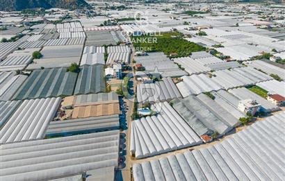 DEMRE ALAKENT ORTASALIMDA SATILIK 3388 M2 SERA VE EVi CB ARDEN