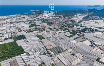 DEMRE ALAKENT ORTASALIMDA SATILIK 3388 M2 SERA VE EVi CB ARDEN