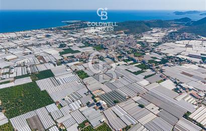 DEMRE ALAKENT ORTASALIMDA SATILIK 3388 M2 SERA VE EVi CB ARDEN
