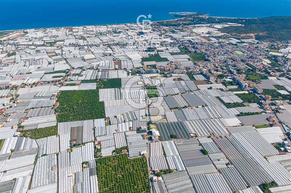 DEMRE ALAKENT ORTASALIMDA SATILIK 3388 M2 SERA VE EVi CB ARDEN