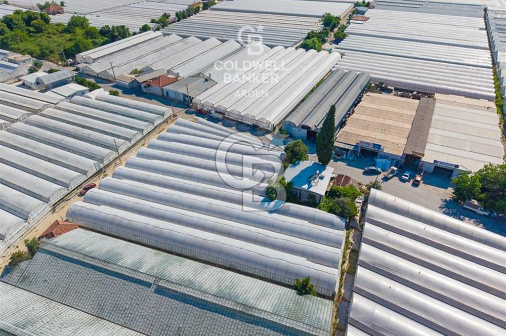 DEMRE ALAKENT ORTASALIMDA SATILIK 3388 M2 SERA VE EVi CB ARDEN