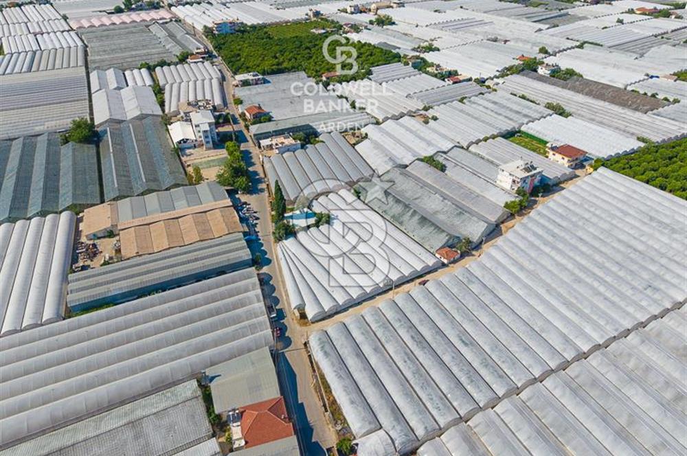 DEMRE ALAKENT ORTASALIMDA SATILIK 3388 M2 SERA VE EVi CB ARDEN