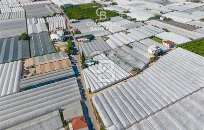 DEMRE ALAKENT ORTASALIMDA SATILIK 3388 M2 SERA VE EVi CB ARDEN