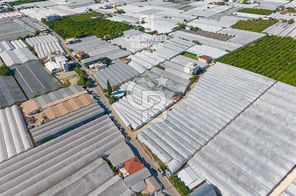 DEMRE ALAKENT ORTASALIMDA SATILIK 3388 M2 SERA VE EVi CB ARDEN
