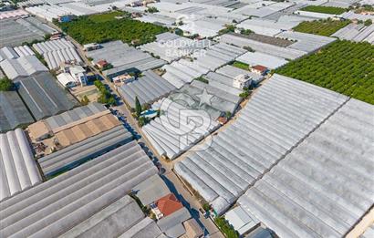 DEMRE ALAKENT ORTASALIMDA SATILIK 3388 M2 SERA VE EVi CB ARDEN