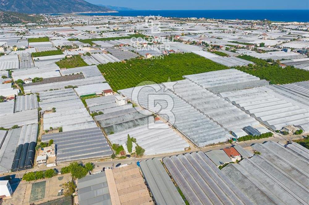 DEMRE ALAKENT ORTASALIMDA SATILIK 3388 M2 SERA VE EVi CB ARDEN