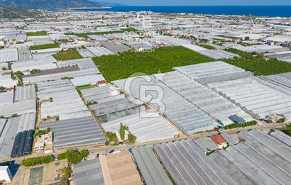 DEMRE ALAKENT ORTASALIMDA SATILIK 3388 M2 SERA VE EVi CB ARDEN