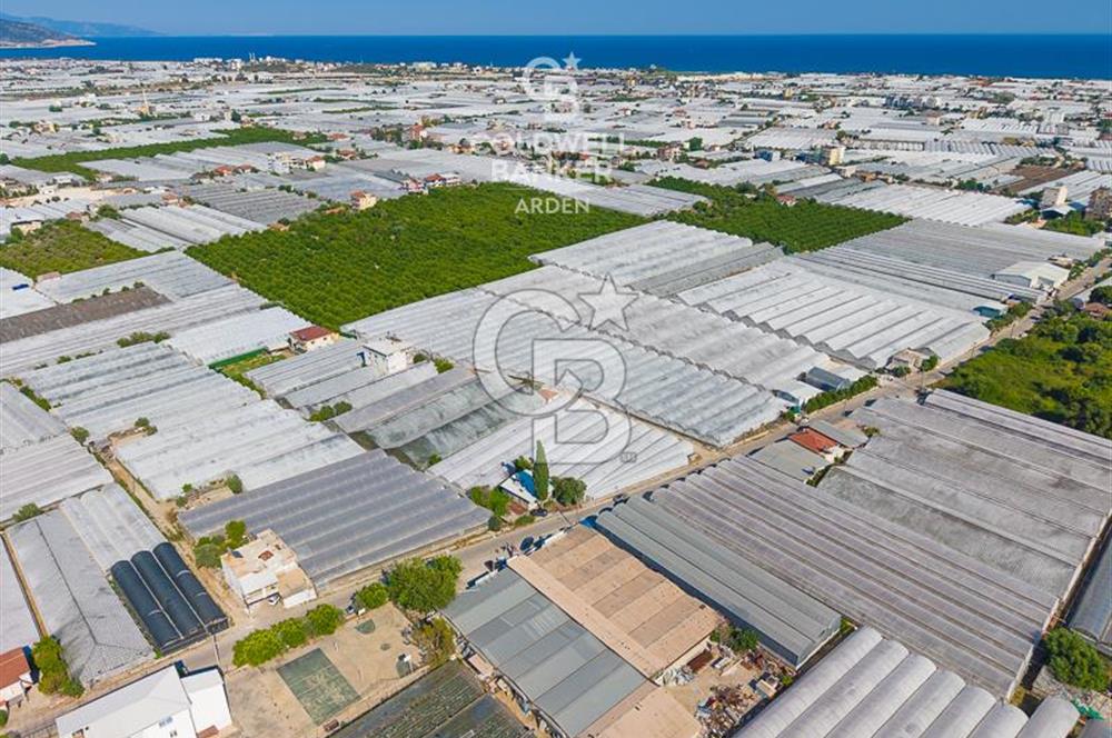 DEMRE ALAKENT ORTASALIMDA SATILIK 3388 M2 SERA VE EVi CB ARDEN