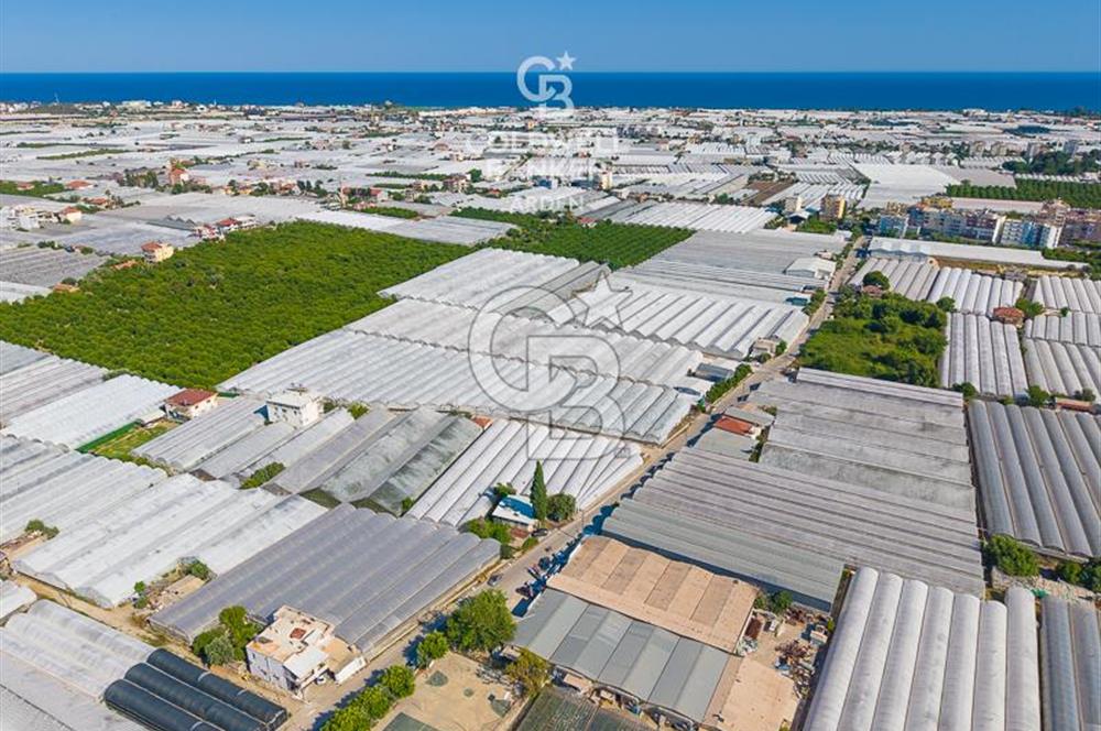 DEMRE ALAKENT ORTASALIMDA SATILIK 3388 M2 SERA VE EVi CB ARDEN