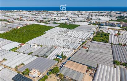 DEMRE ALAKENT ORTASALIMDA SATILIK 3388 M2 SERA VE EVi CB ARDEN
