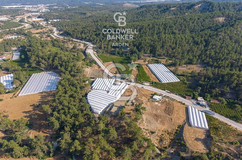 CB ARDEN'DEN KAŞ ANA YOL ÜSTÜ SATILIK TARLA