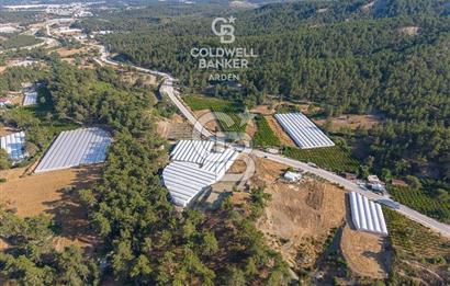 CB ARDEN'DEN KAŞ ANA YOL ÜSTÜ SATILIK TARLA