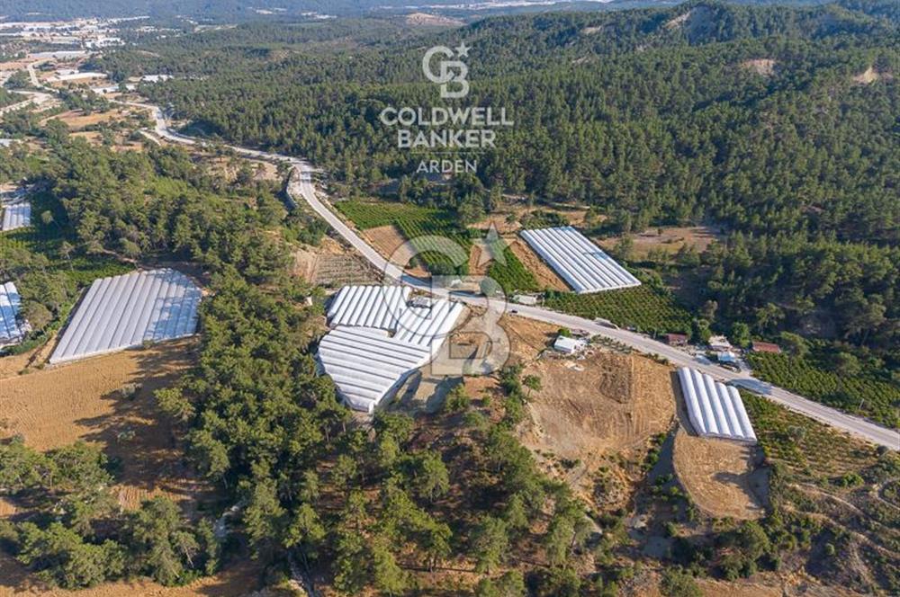 CB ARDEN'DEN ANTALYA KAŞ ANA YOL ÜSTÜ SATILIK TARLA