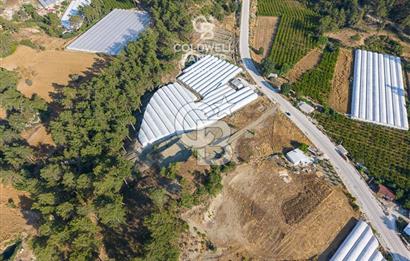 CB ARDEN'DEN KAŞ ANA YOL ÜSTÜ SATILIK TARLA