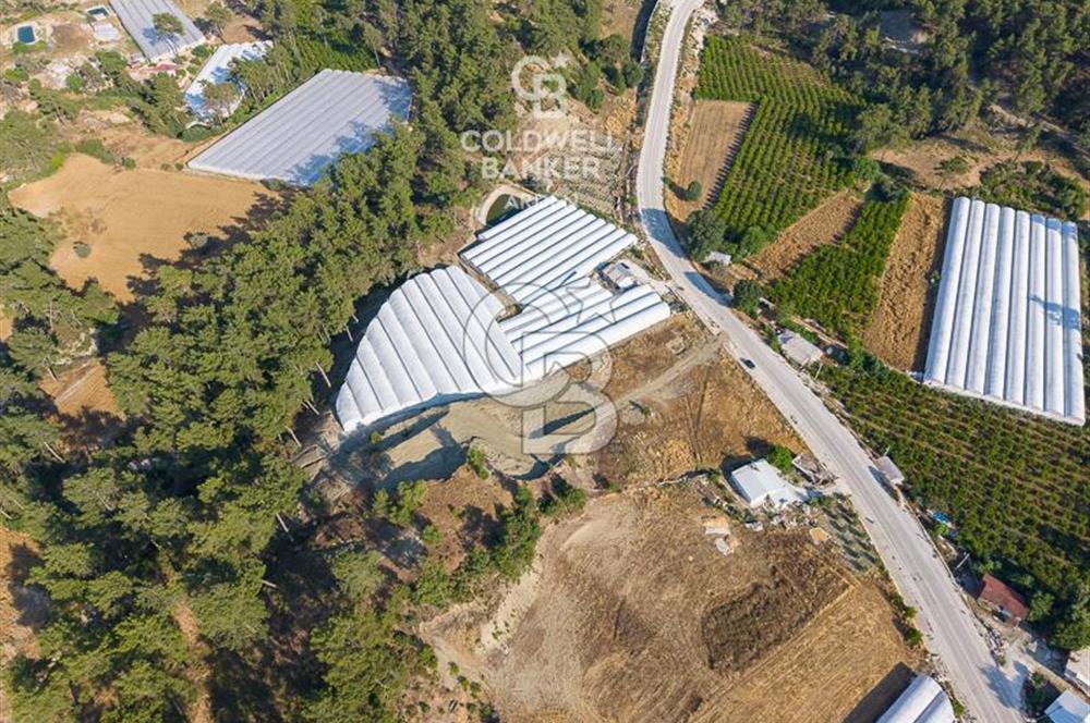 CB ARDEN'DEN ANTALYA KAŞ ANA YOL ÜSTÜ SATILIK TARLA