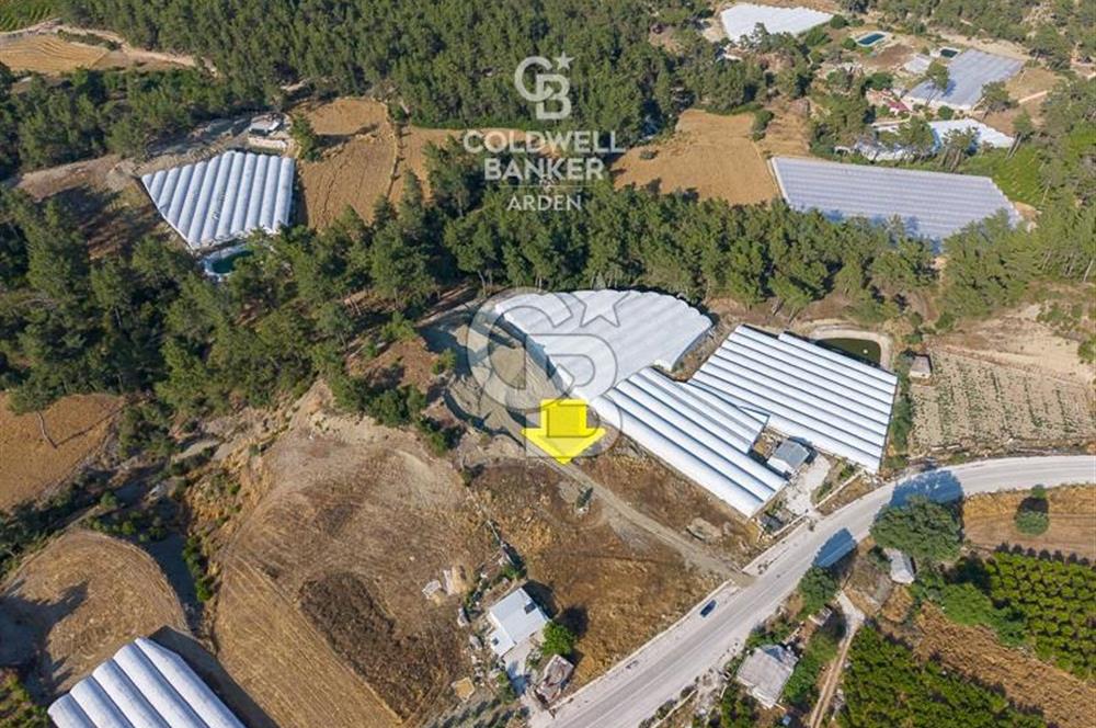 CB ARDEN'DEN KAŞ ANA YOL ÜSTÜ SATILIK TARLA
