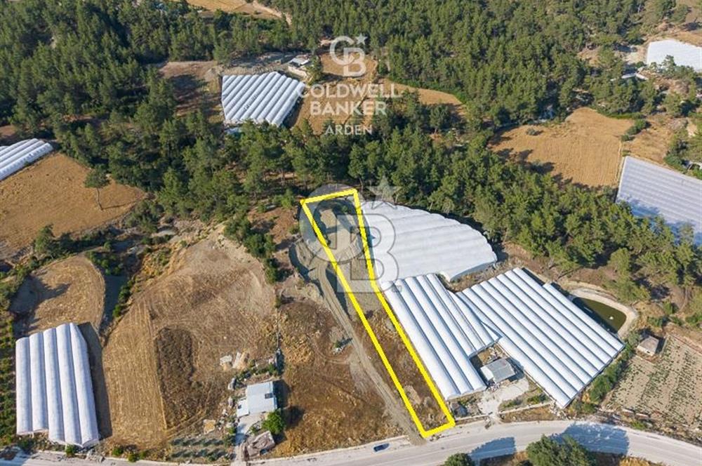 CB ARDEN'DEN ANTALYA KAŞ ANA YOL ÜSTÜ SATILIK TARLA